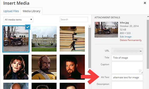 How to Add Alt Tags to Images in WordPress 
